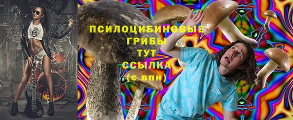 a pvp Абаза