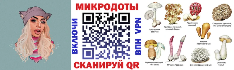 Псилоцибиновые грибы Cubensis  Вичуга 